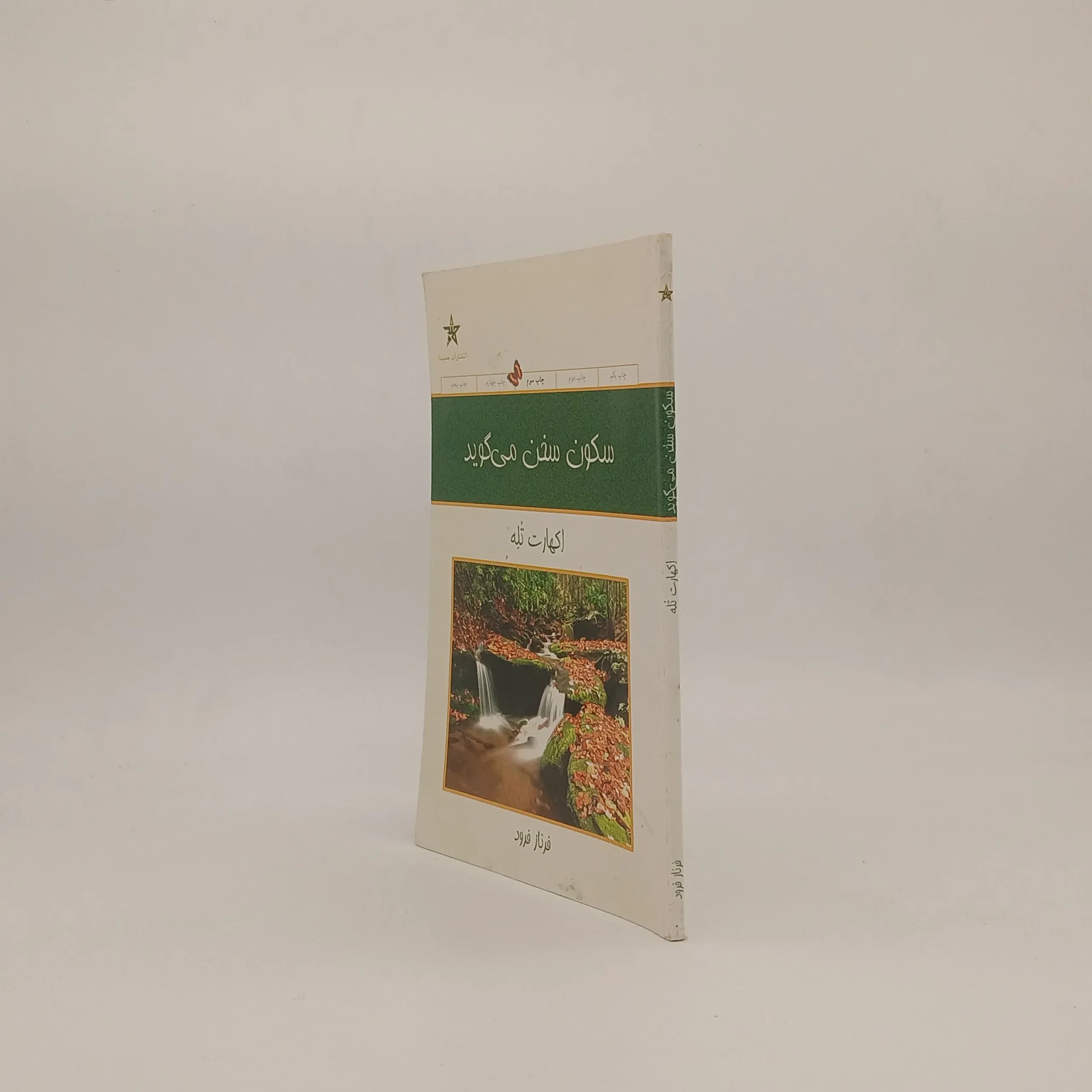 سکون سخن میگوید — تصویر ۲