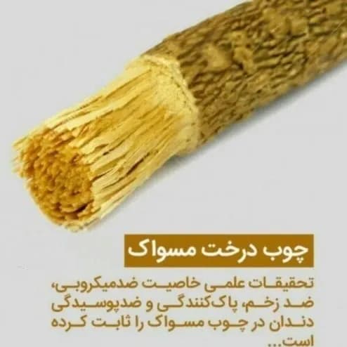 مسواک چوبی طبیعی الفیضان (چوب مسواک اراک) — تصویر ۴