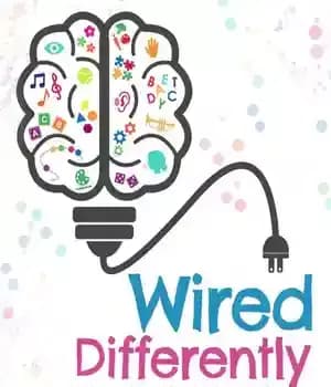 دانلود کتاب Wired Differently: A Teacher’s Guide to Understanding Sensory Processing Challenges – …