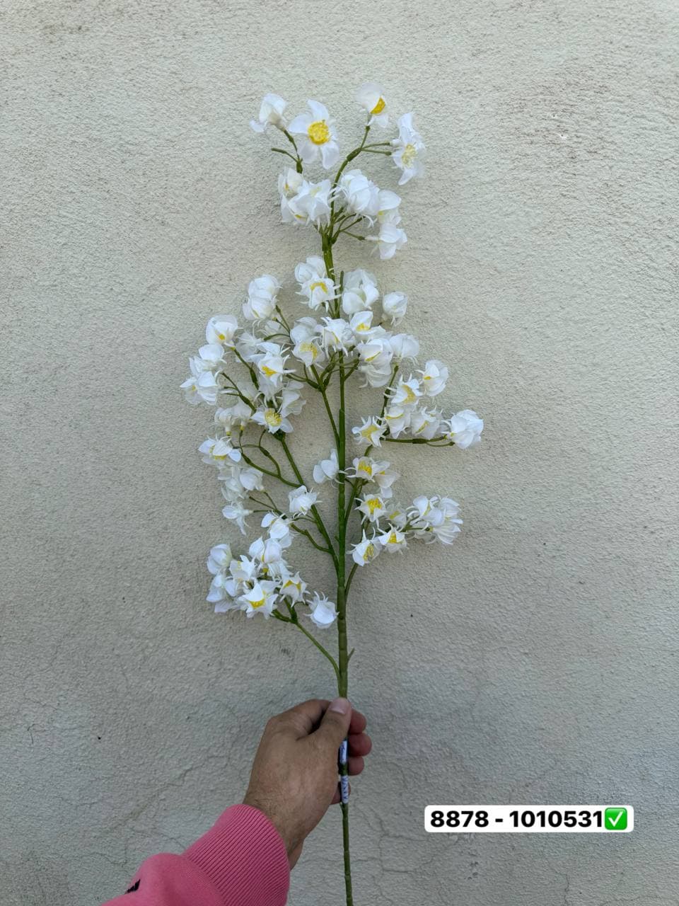 شکوفه غنچه یاس لمسی