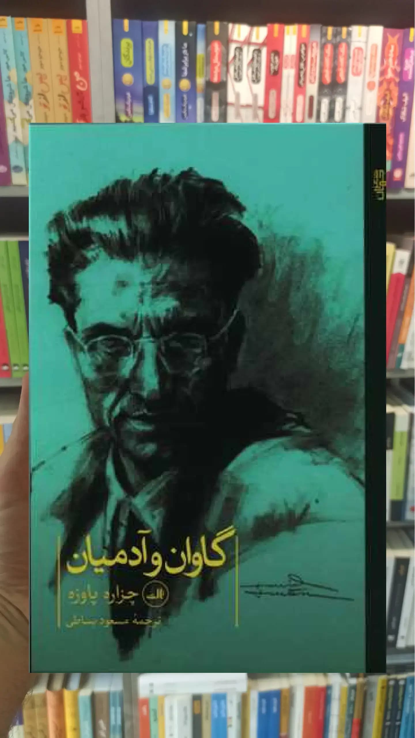 گاوان و آدمیان ثالث