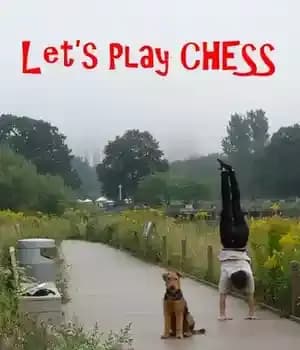 دانلود کتاب Let’s Play Chess