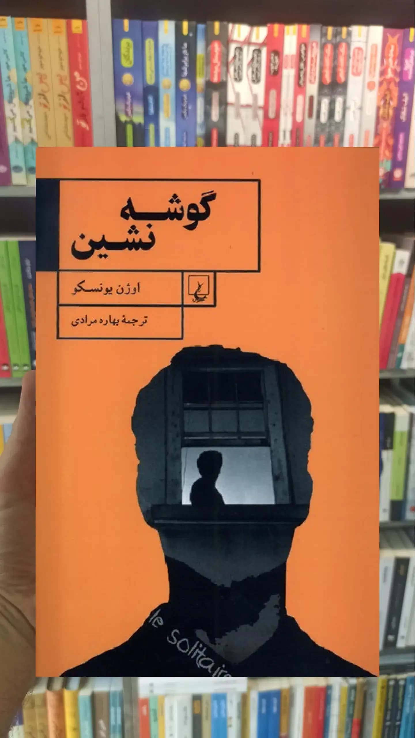 گوشه نشین ققنوس
