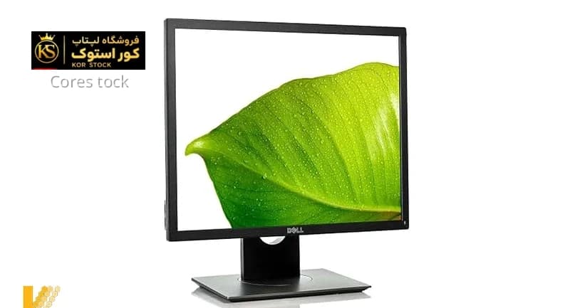 مانیتور استوک Dell P1914SC 19 Inch — تصویر ۵