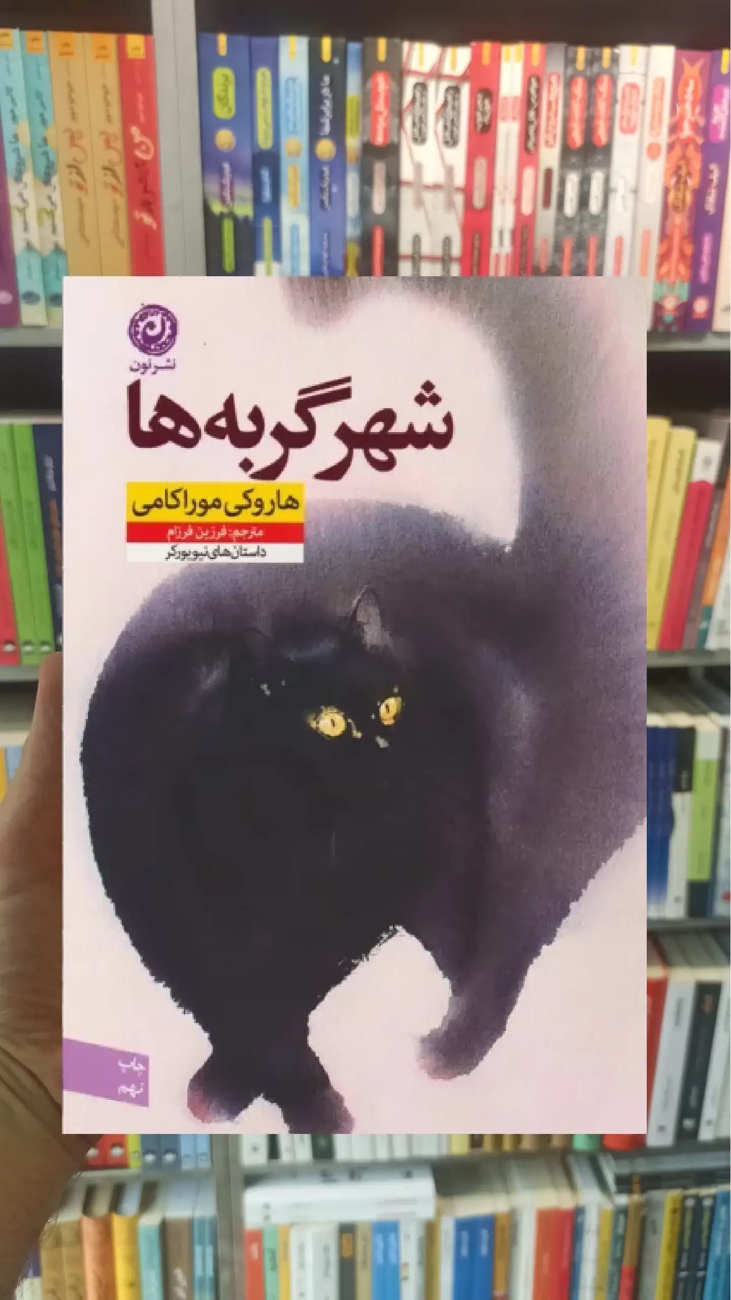 شهر گربه ها نشرنون