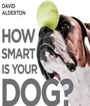 دانلود کتاب How Smart Is Your Dog