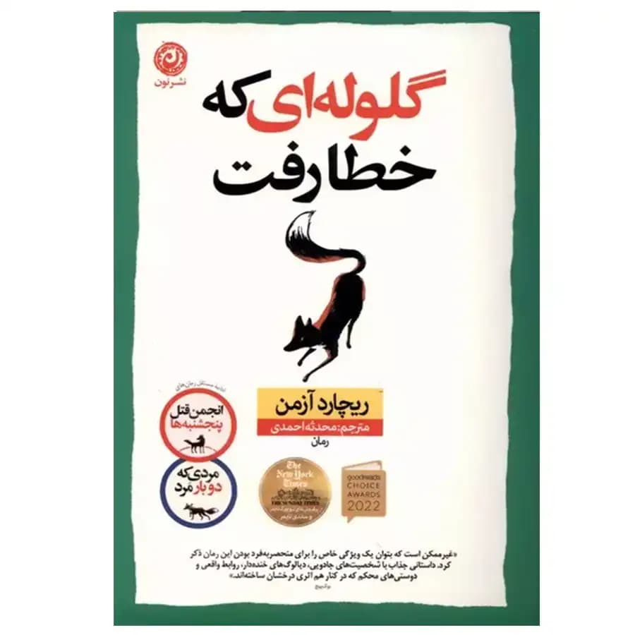 کتاب گلوله ای که خطا رفت اثر ریچارد آزمن