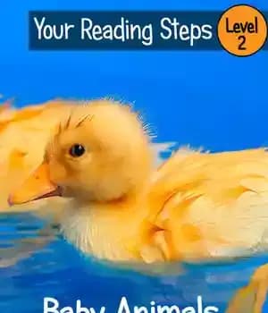 دانلود کتاب Baby Animals Around the Farm: A Step Into Reading Book