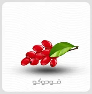 طعم دهنده مایع زرشک