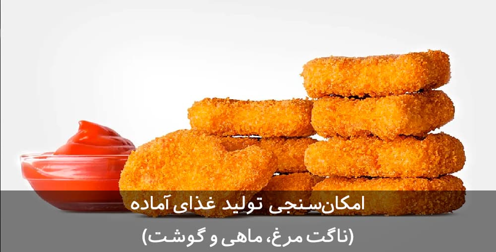 طرح توجیهی غذای آماده (ناگت مرغ، ماهی و گوشت)