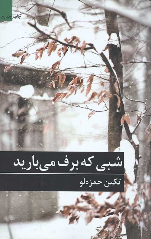 شبی که برف می بارید