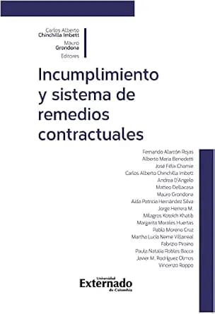 و دانلود نسخه کامل کتاب زبان اصلی Incumplimiento y sistema de remedios contractuales (Spanish Edition) PDF | دانلود کتاب خارجی