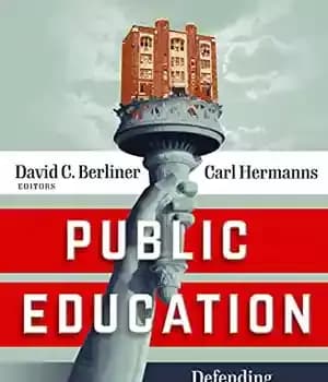 دانلود کتاب Public Education: Defending a Cornerstone of American Democracy