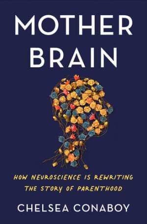 دانلود کتاب Mother Brain: How Neuroscience is Rewriting the Story of Parenthood