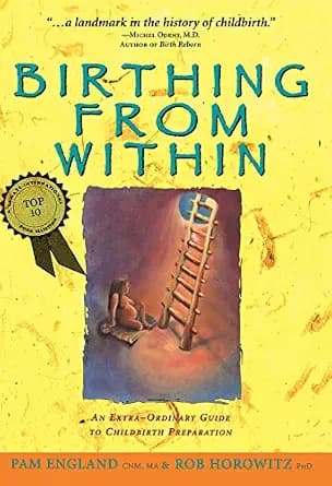 و دانلود نسخه کامل کتاب زبان اصلی Birthing from Within: An Extra-Ordinary Guide to Childbirth Preparation PDF | دانلود کتاب خارجی