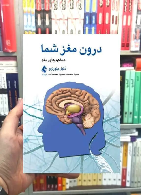 درون مغز شما عملکردهای مغز ارجمند