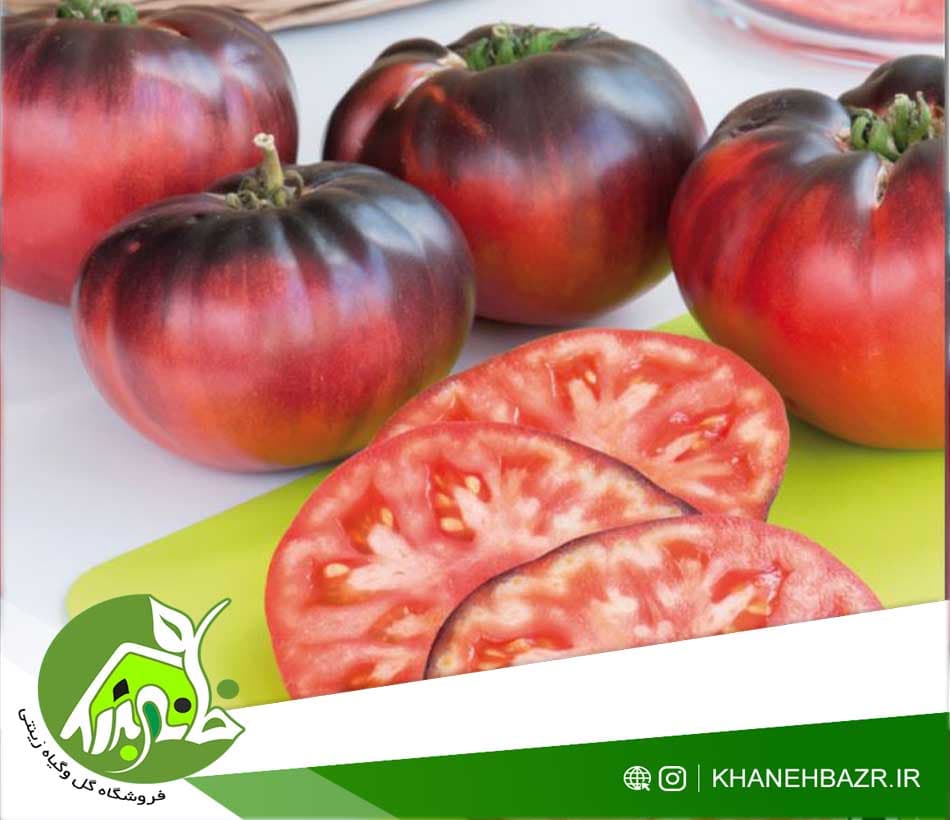 🎯 بذر گوجه فرنگی بلو بیوتی | Blue Beauty Tomato — بنفش-آبی اسرارآمیز با شانه طلایی، طعم دودی-شیرین، سوپراستار باغچههای خاصپسند!