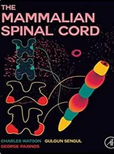دانلود کتاب The Mammalian Spinal Cord
