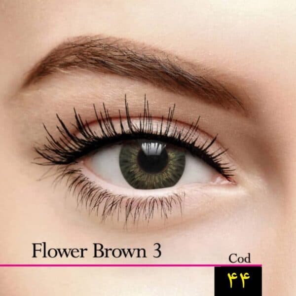 مجیک آی لنز (Flower Brown 3) شماره 44