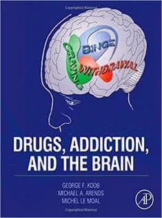 دانلود کتاب Drugs, Addiction, and the Brain