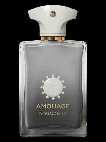 عطر آمواج دسیژن 42 | Amouage Decision 42