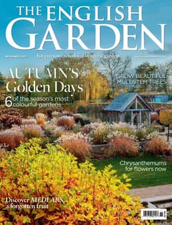 دانلود مجله The English Garden؛ نوامبر 2025