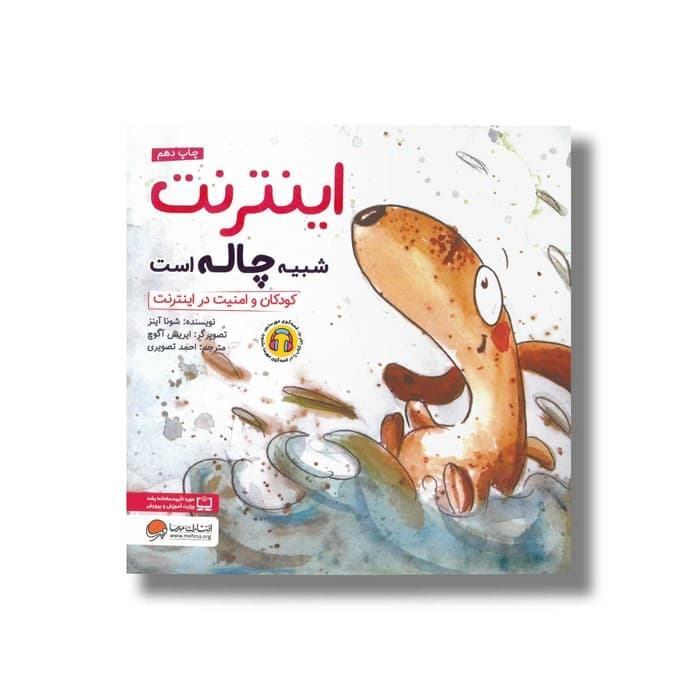 کتاب اینترنت شبیه چاله است اثر شونا آینز ترجمه احمد تصویری نشر مهرسا