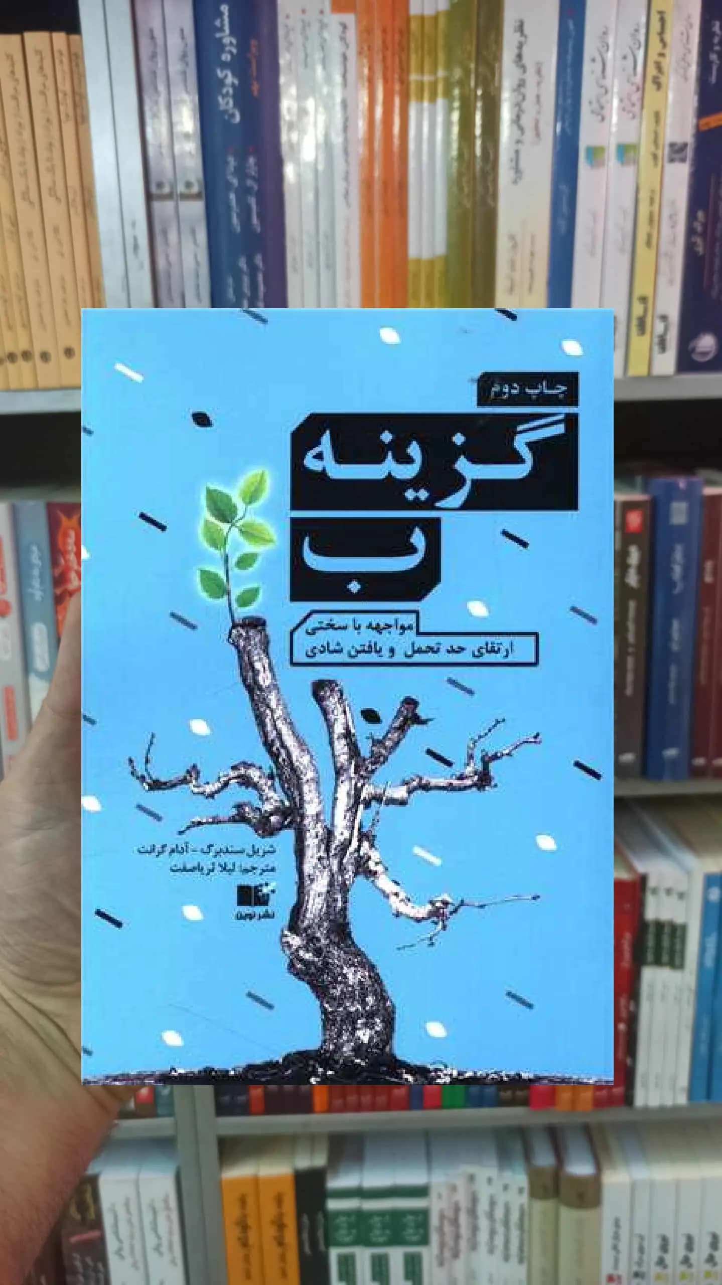 گزینه ب گرانت نشرنوین