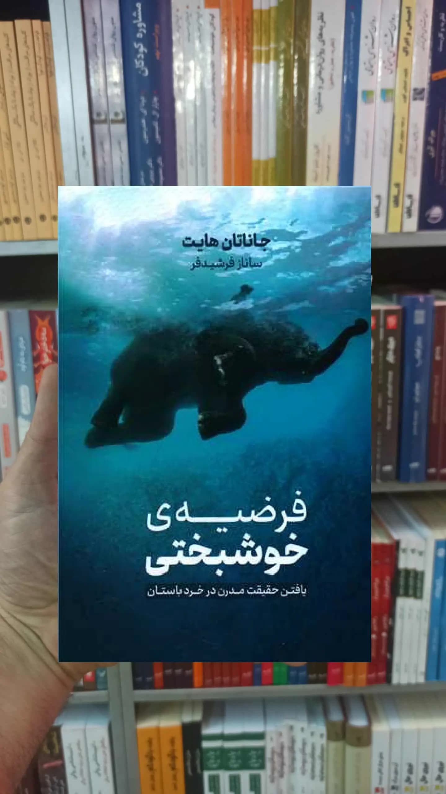 فرضیه ی خوشبختی هایت نشرنوین