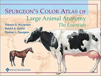 و دانلود نسخه کامل کتاب زبان اصلی Spurgeon’s Color Atlas of Large Animal Anatomy: The Essentials PDF | دانلود کتاب خارجی