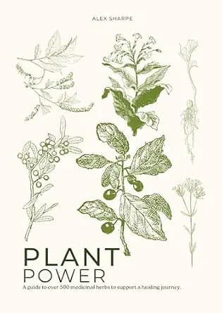 و دانلود نسخه کامل کتاب زبان اصلی Plant Power: A Guide to over 500 Medicinal Herbs to Support a Healing Journey PDF | دانلود کتاب خارجی
