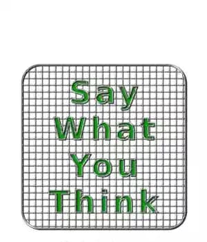 دانلود کتاب Say What You Think