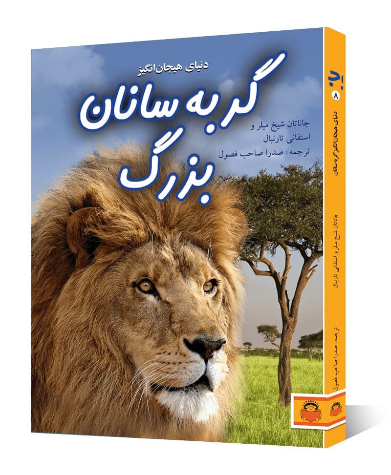 دنیای هیجان انگیز گربه سانان بزرگ