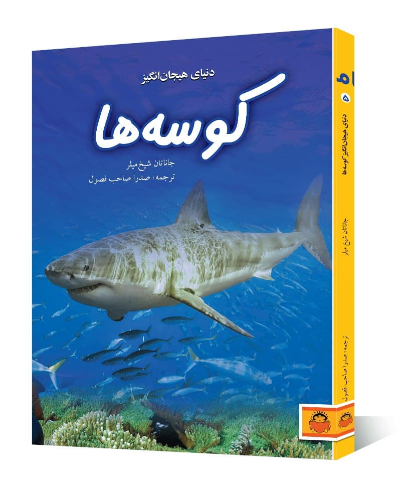 دنیای هیجان انگیز کوسه ها