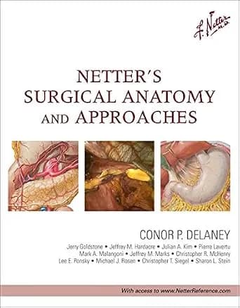 و دانلود نسخه کامل کتاب Netter’s Surgical Anatomy and Approaches (Netter Clinical Science)
