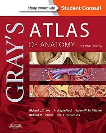 و دانلود نسخه کامل کتاب Gray’s Atlas of Anatomy E-Book (Gray’s Anatomy)