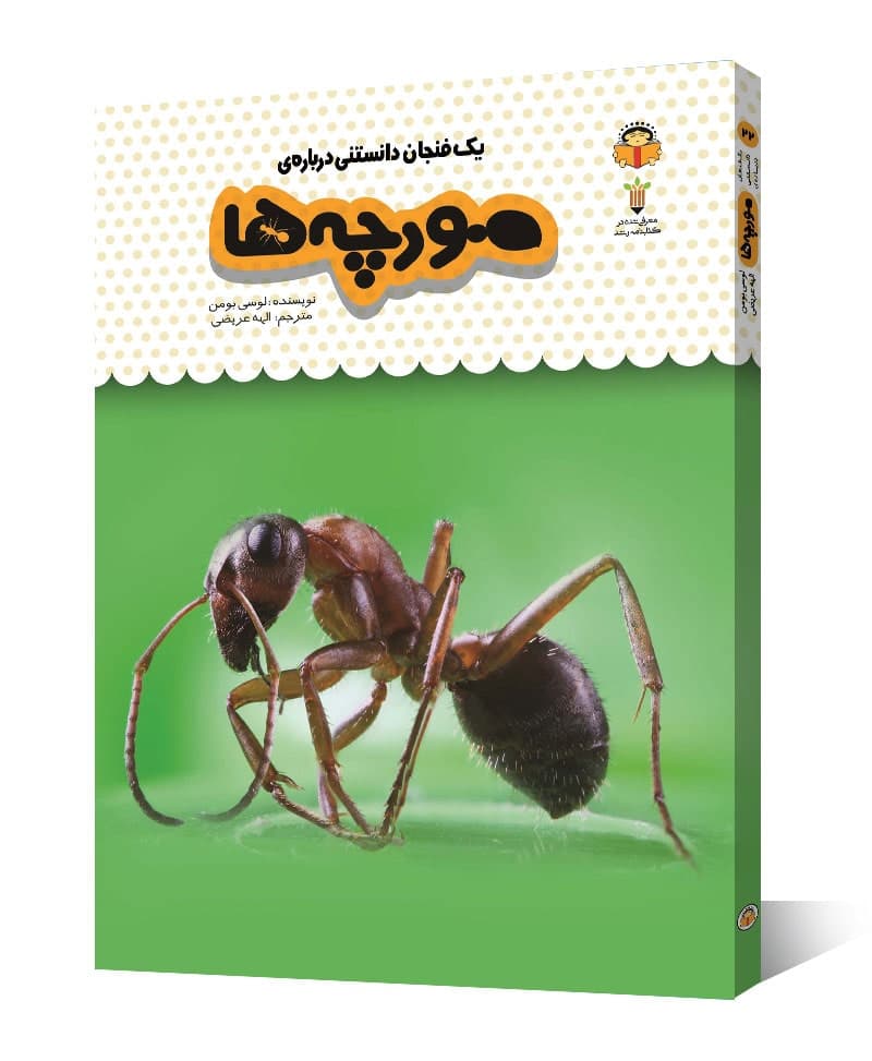 یک فنجان دانستنی درباره ی مورچه ها