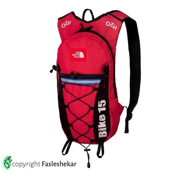 کوله پشتی ۱۵ لیتری نورث فیس مدل The North Face Bike 15