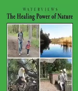 دانلود کتاب The Healing Power of Nature: A practical exploration how nature can influence our health and well-being
