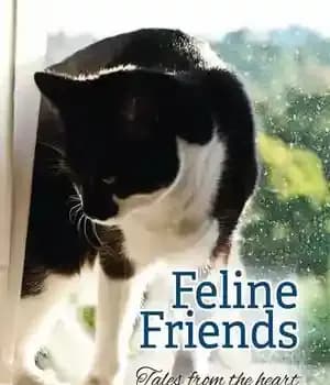دانلود کتاب Feline Friends: Tales from the Heart