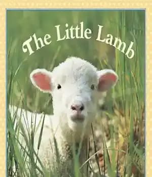 دانلود کتاب The Little Lamb