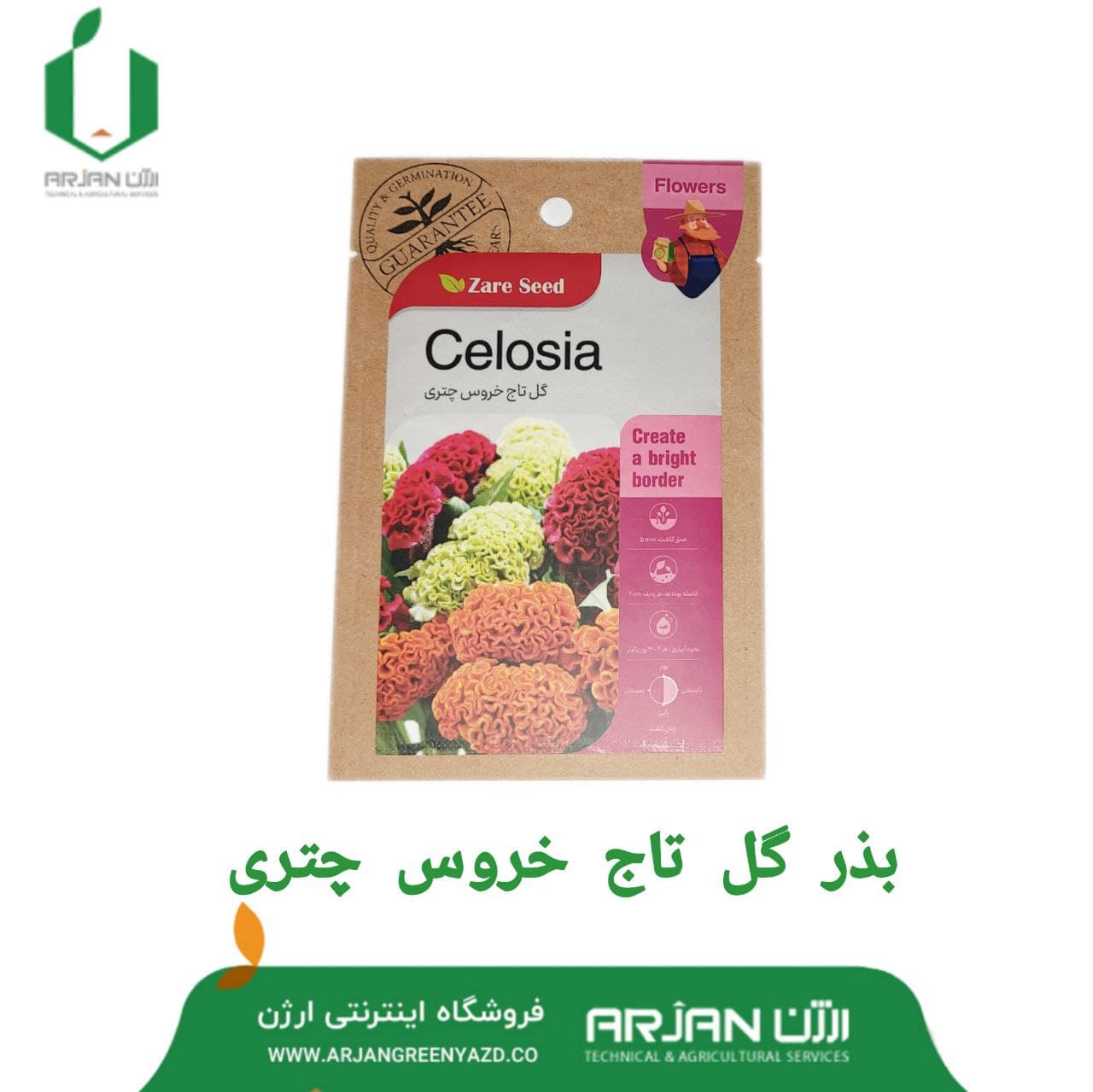 بذر گل تاج خروس چتری
