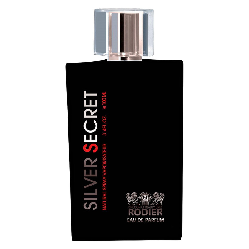 ادو پرفیوم مردانه رودیر مدل Silver Secret حجم 100 میلی لیتر — تصویر ۲