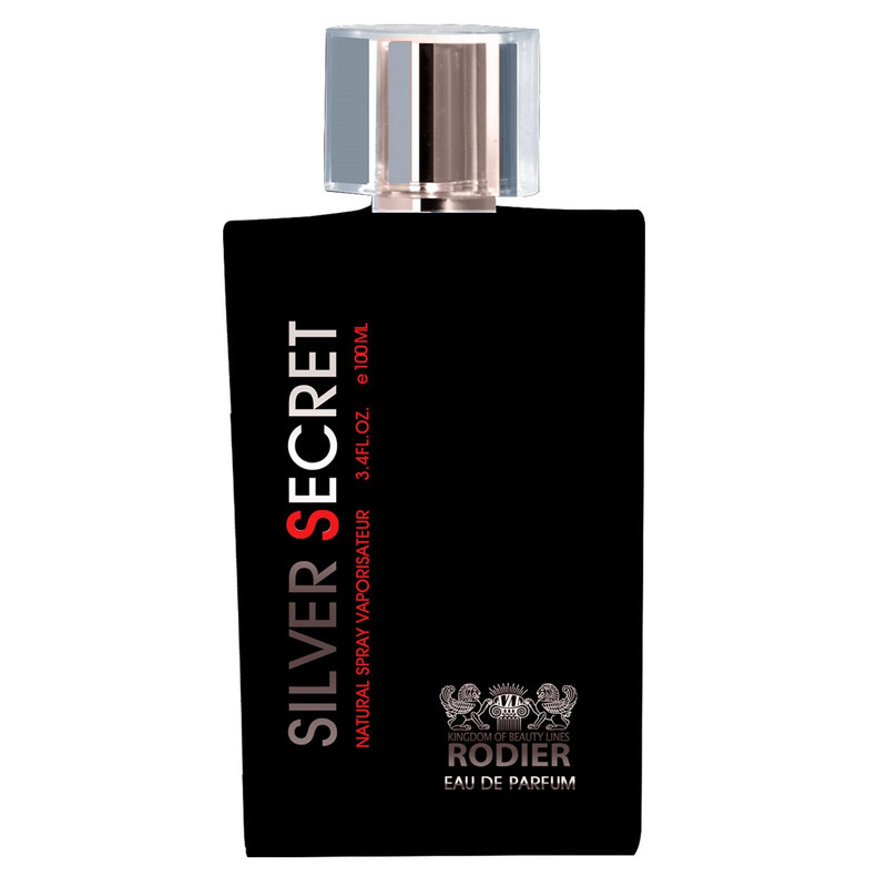 ادو پرفیوم مردانه رودیر مدل Silver Secret حجم 100 میلی لیتر — تصویر ۳
