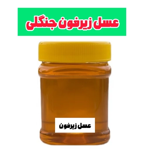 عسل طبیعی زیرفون جنگلی ساکارز زیر یک درصد نیم کیلویی