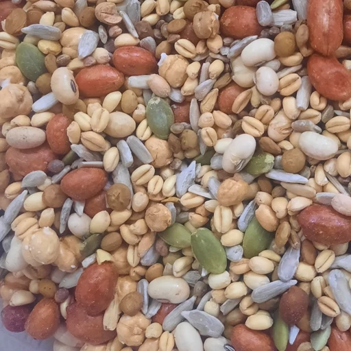 آجیل رژیمی پرانرژی یک کیلویی تازه امسالی