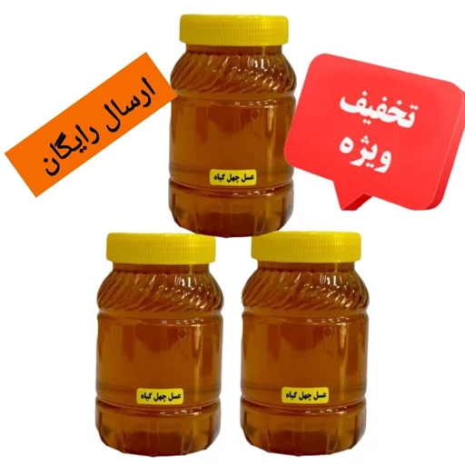 عسل چهل گیاه (3 کیلو ) قیمت عمده ارسال رایگان و سریع — تصویر ۲