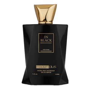 ادو پرفیوم مردانه رودیر پلاس مدل In Black حجم 100 میلی لیتر — تصویر ۶