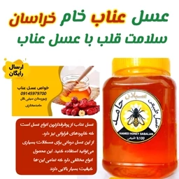 عسل عناب بیرجند خام 1 کیلویی(خرید از زنبوردار)ارسال رایگان — تصویر ۳
