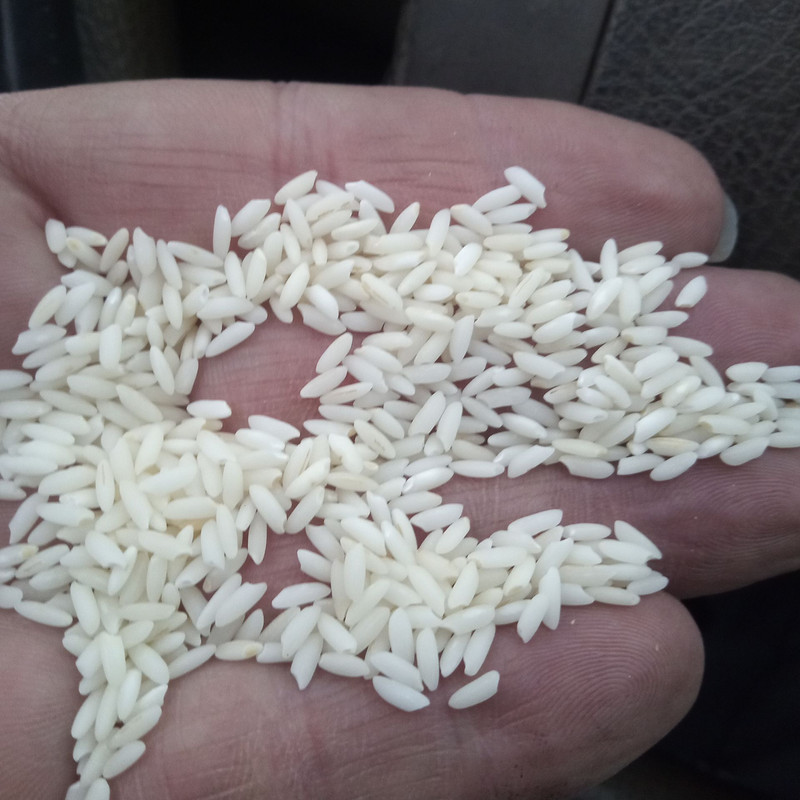 برنج دانه کوتاه استخوانی - ۱۰ کیلوگرم — تصویر ۲